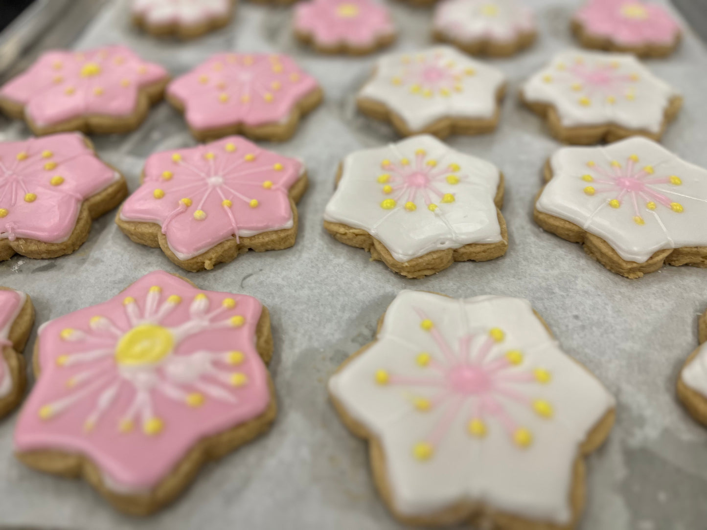 Decorated Cherry Blossom Cookies 🌸